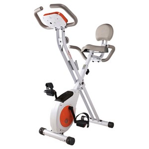 엑스바이크 숀리