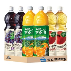 자연은 포도 사과 제주사랑 감귤사랑 1.5L 음료수 세트 각 2개씩, 6개, 1500ml