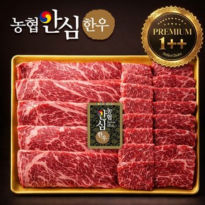 [농협안심한우] 쇠고기집 프리미엄 1++ 투플 한우 구이용 모듬세트, 1개, 600g